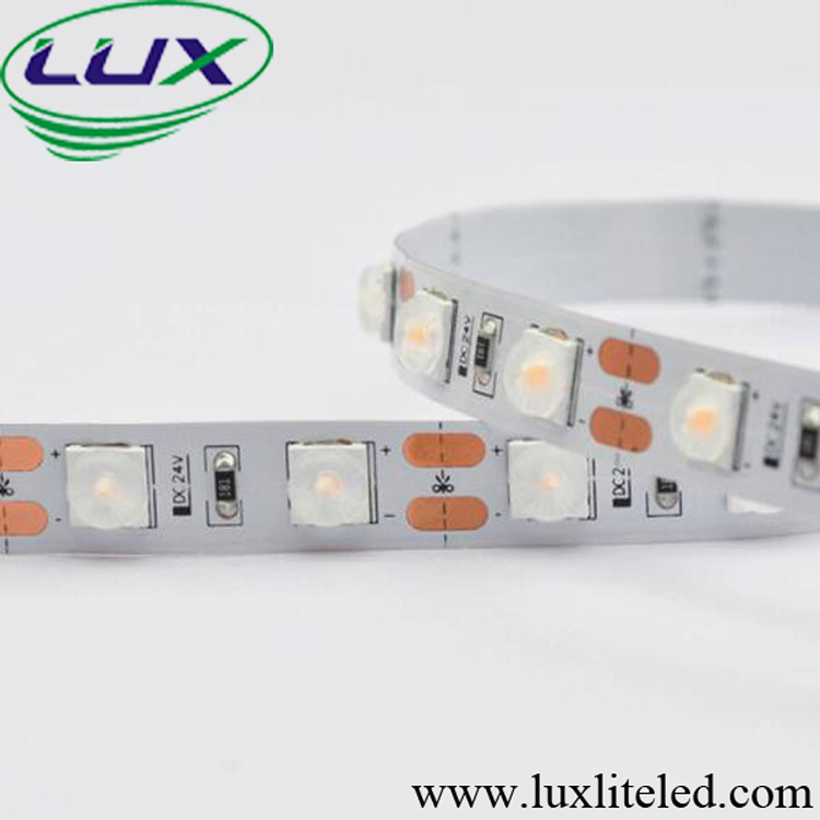 SMD6060 LED Strip Light With Lens-60LED/M